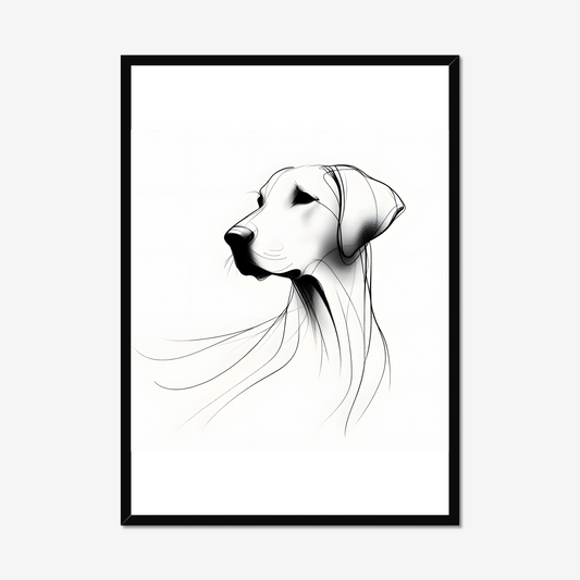 The Serene Dog