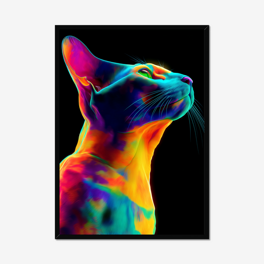 Neo Cat