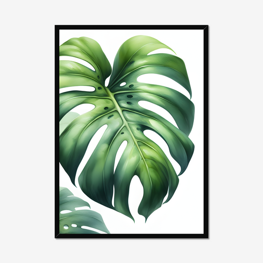 Monstera Leaves Poster