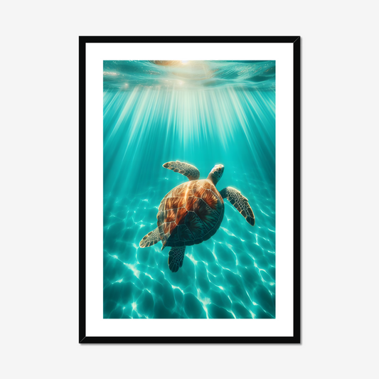 The Ocean’s Ballet