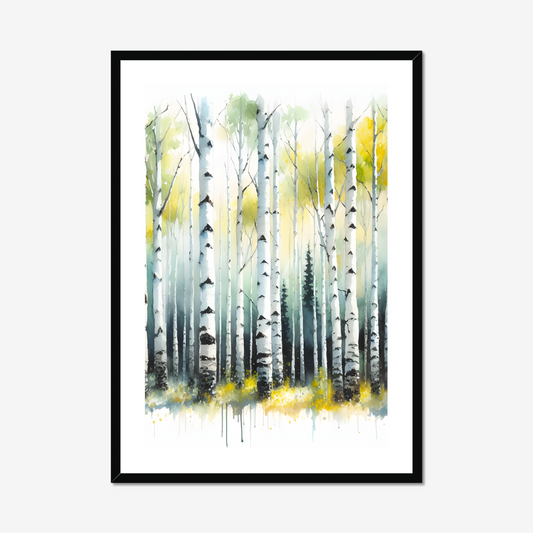 Birch Beauty