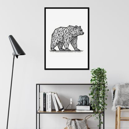 The Geometric Grizzly