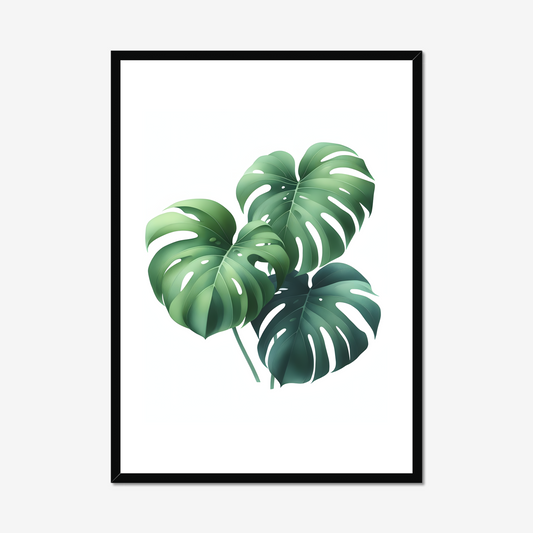 Tropical Monstera