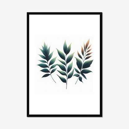 Willow Oak Leaves