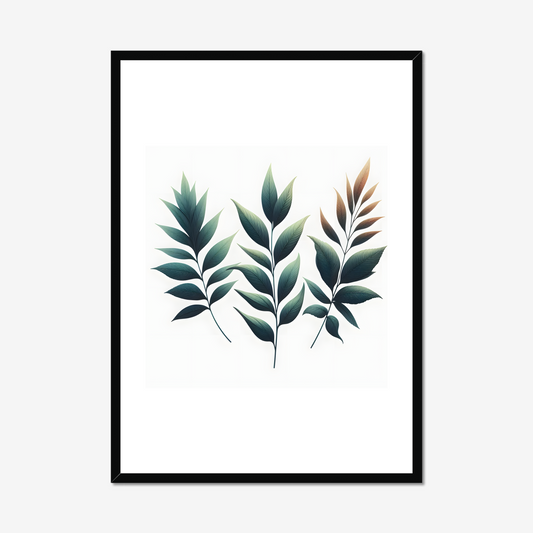 Willow Oak Leaves